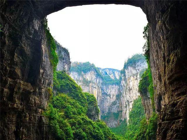 逃离奇幻仙境